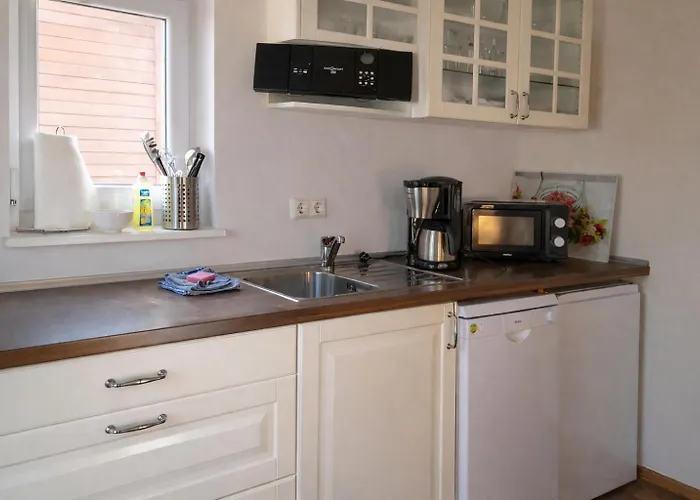 Cottbus 施维洛赫塞